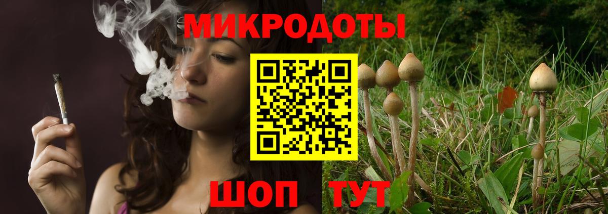 Галлюциногенные грибы Psilocybine cubensis Саки
