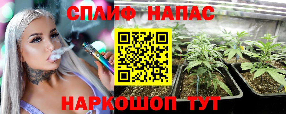 Саки  Шишки марихуана конопля  Конопля планчик  Шишки марихуана семена  Вход с VPN  МАРИХУАНА AK-47 